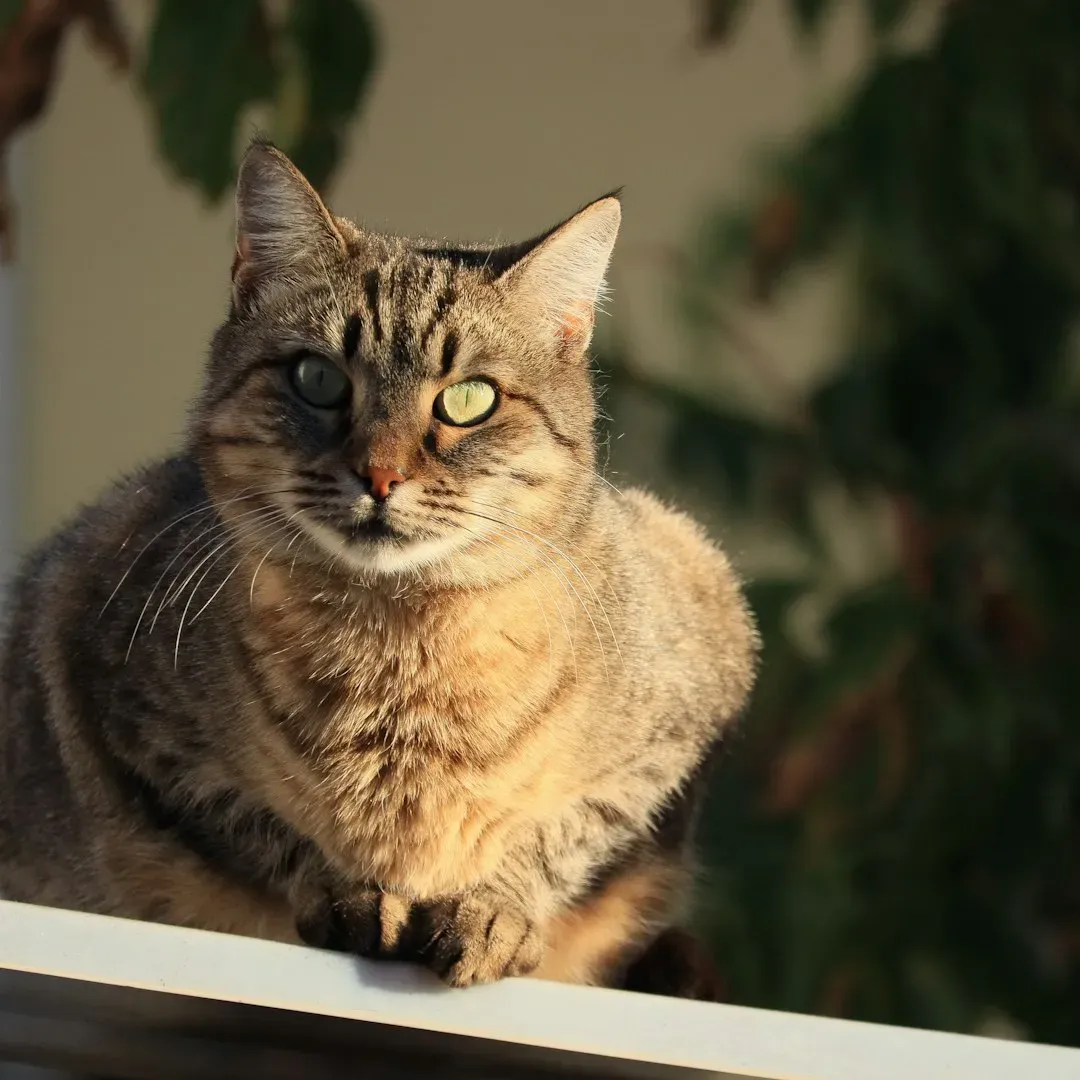 The Vitamin D Myth You Need to Know About (Image Credits: Unsplash)