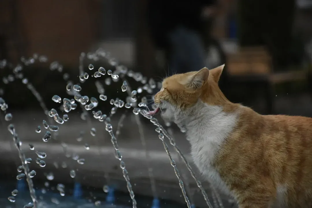 #3 Running water from faucets (Image Credits: Unsplash)