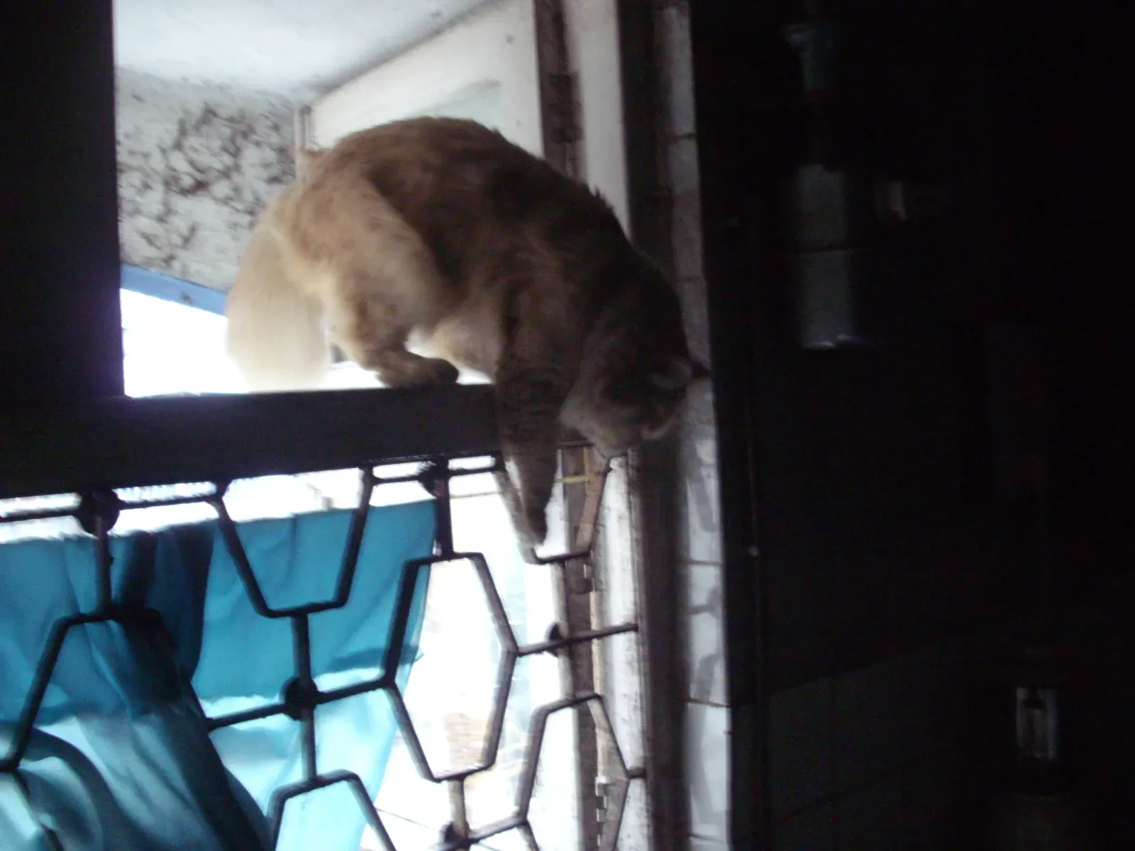 The Need for Control and Predictability (Image Credits: Wikimedia)