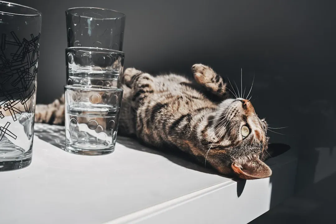 2. Glasses and Cups: An Experiment in Physics and Taste (Image Credits: Unsplash)