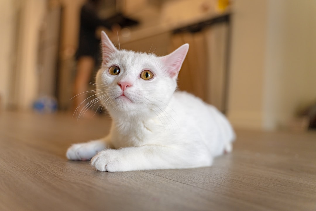 Individual Differences in Voice Recognition (Image Credits: Unsplash)