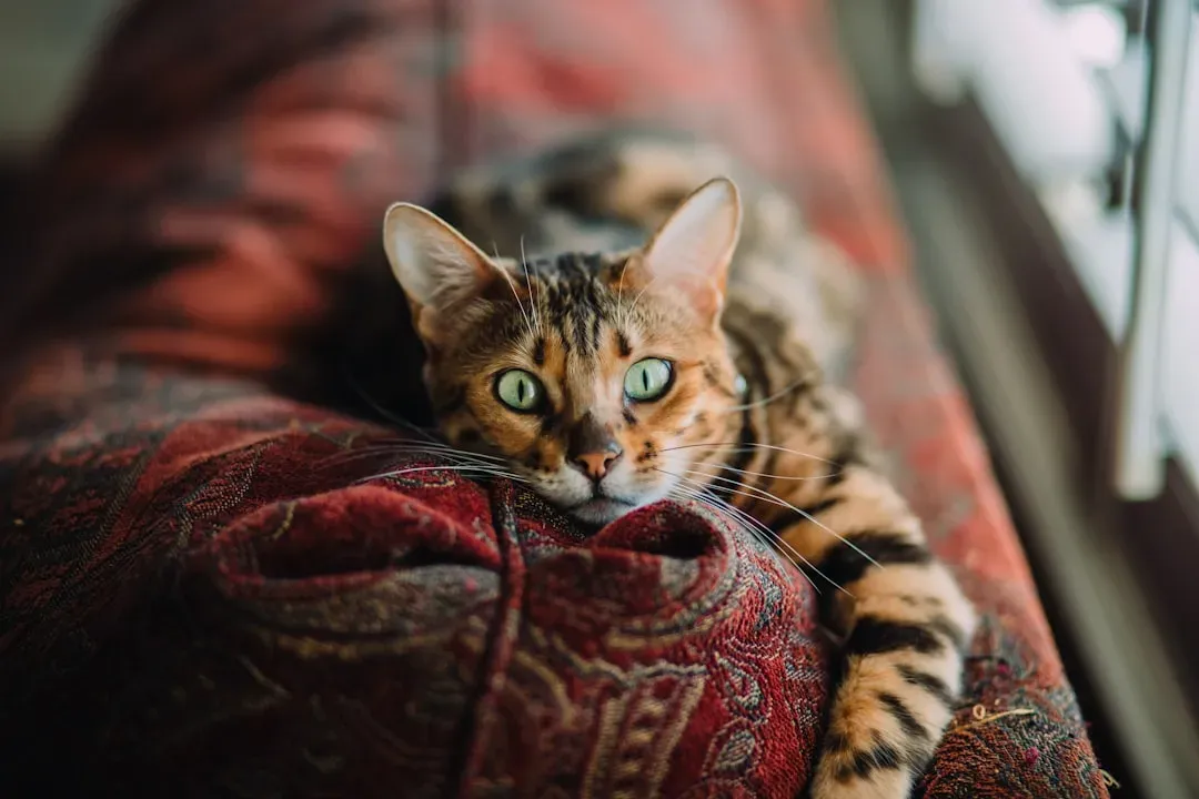 #13 - They Memorize Your Schedule and Exploit It Ruthlessly (Image Credits: Unsplash)