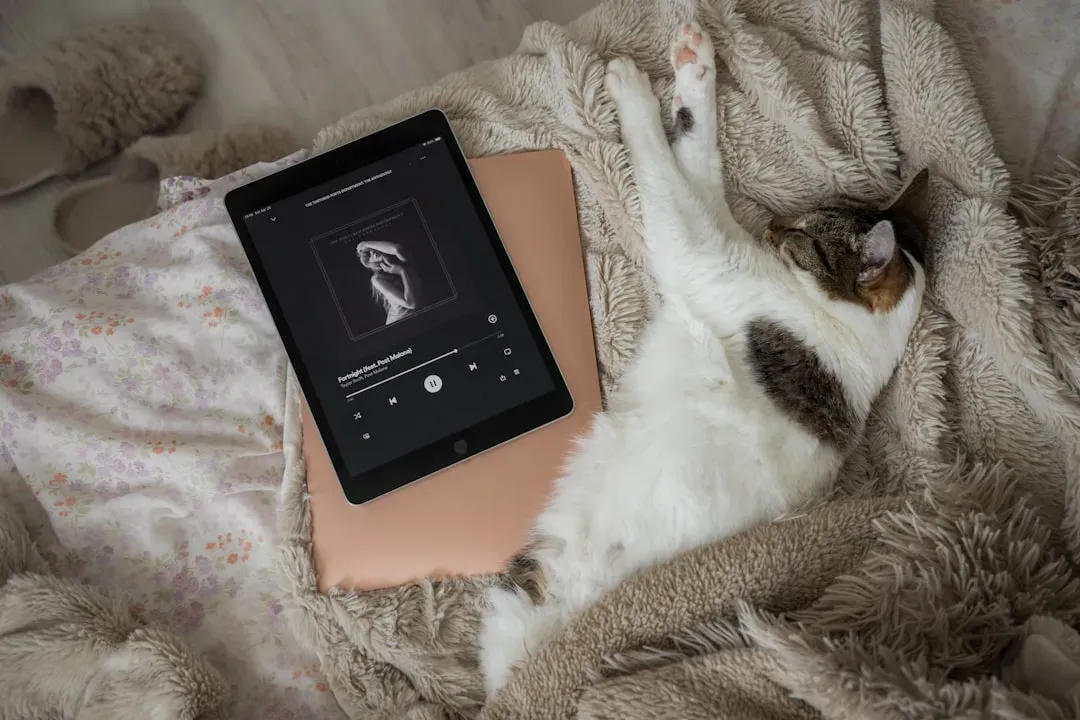 Species-Specific Cat Music (Image Credits: Unsplash)