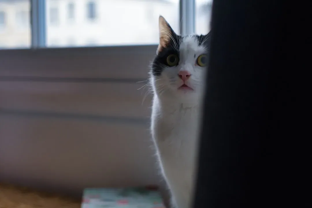 6. Making Loud, Sudden Noises Around the House (Image Credits: Unsplash)