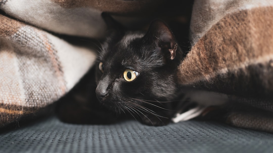 Health and Safety Considerations (Image Credits: Unsplash)