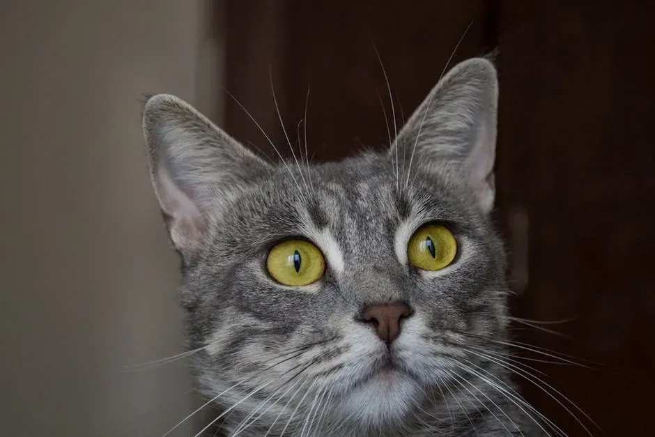 4. The Slow Blink Disappears the Moment You Put on Action Movies (Image Credits: Pexels)