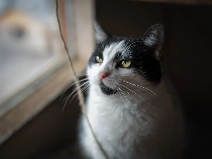 They Learn by Watching You (Image Credits: Pexels)