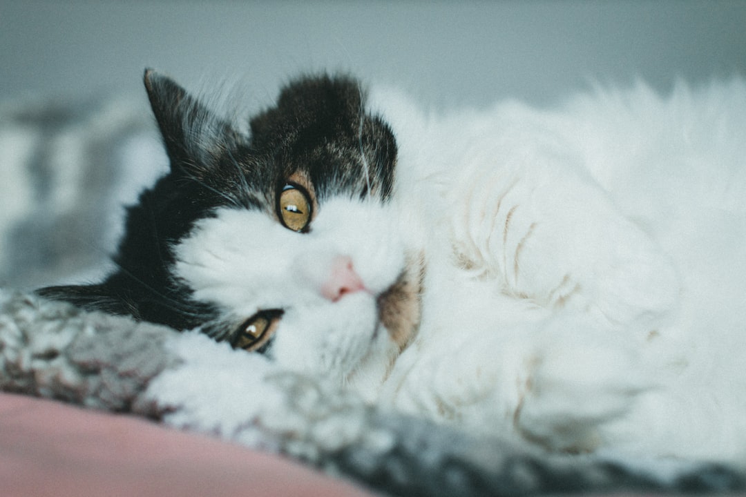 Conclusion: Navigating Difficult Waters (Image Credits: Unsplash)