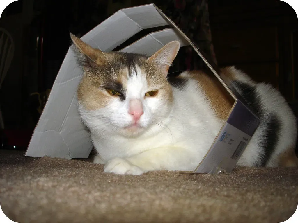 The Science of Security: What Stress Research Reveals (Violette79, Flickr, CC BY 2.0)