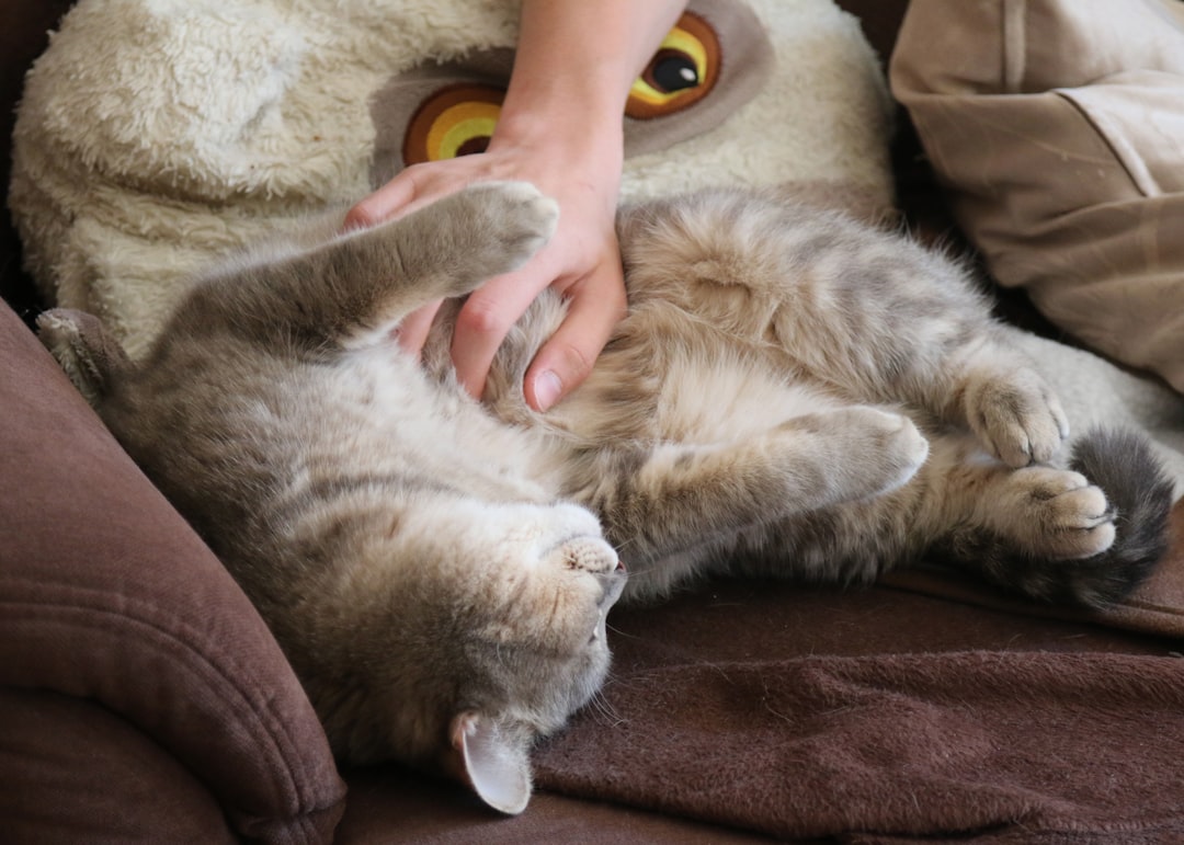 The Belly Display of Ultimate Trust (Image Credits: Unsplash)