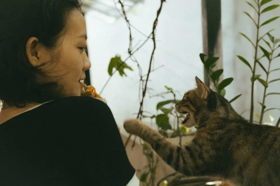 Behavioral Problems Don't Necessarily Weaken Emotional Bonds (Image Credits: Unsplash)