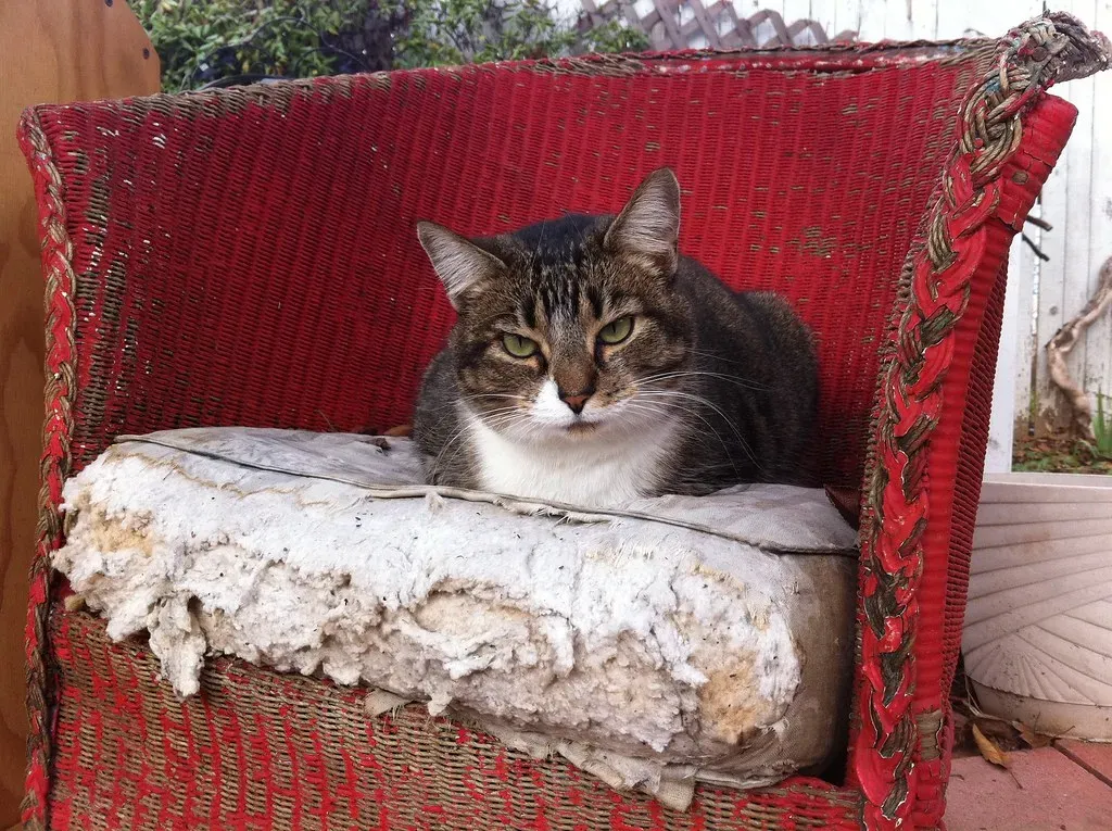 Conclusion (Image Credits: Flickr)