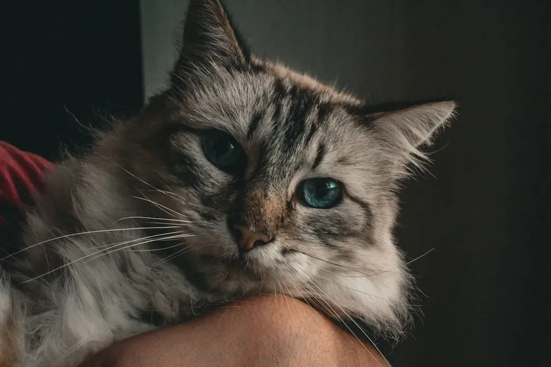 They Remember You Based on More Than Just Your Face (Image Credits: Unsplash)