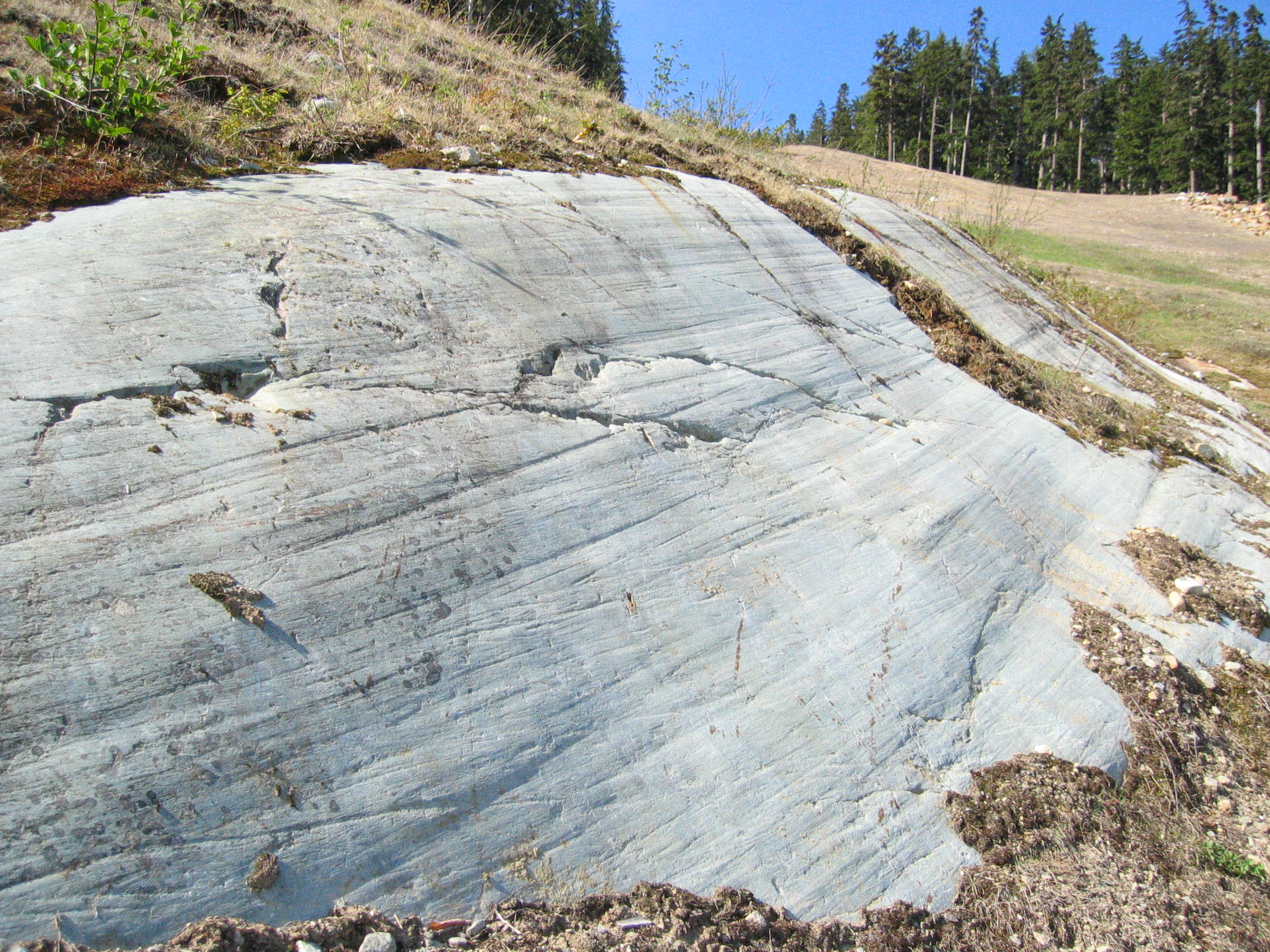 The Geological Evidence That Proves It (Image Credits: Wikimedia)