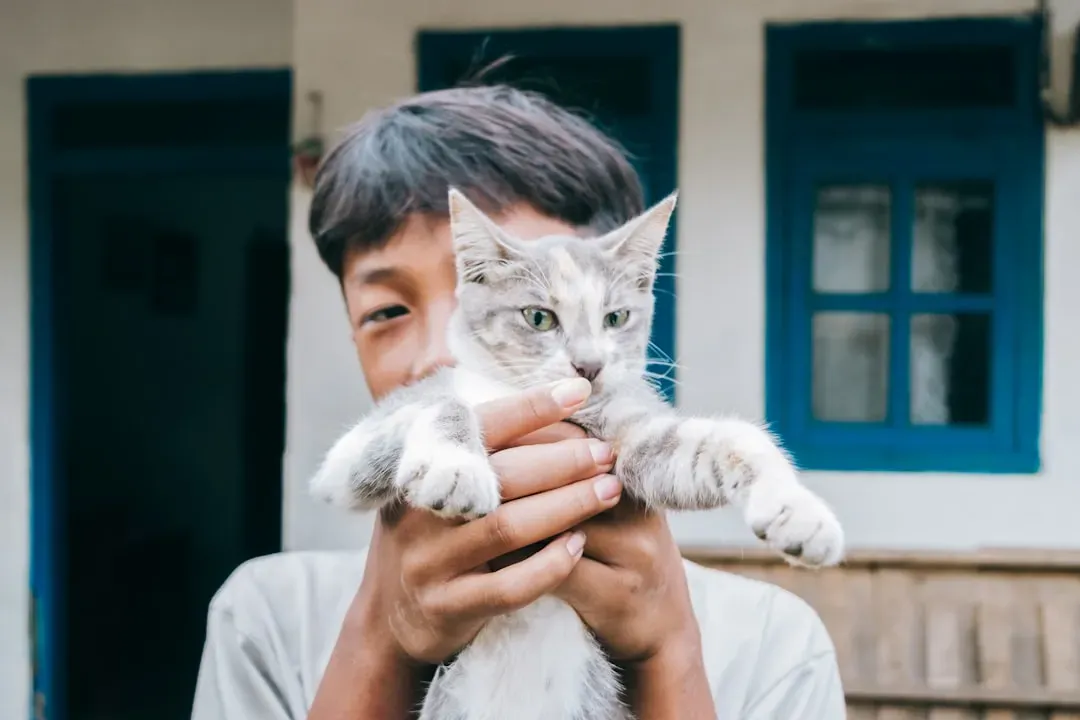 Your Cat Actually Forms a Secure Attachment to You (Image Credits: Unsplash)