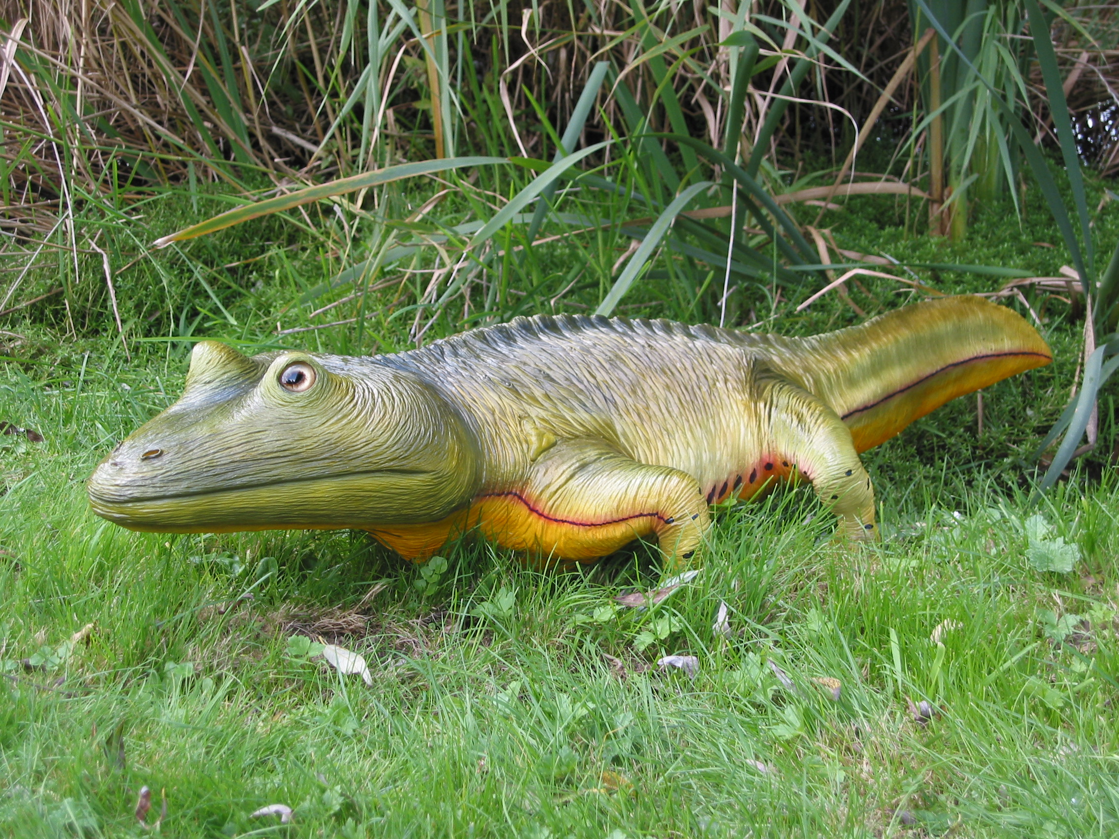 Life in the Carboniferous Greenhouse (Image Credits: Wikimedia)