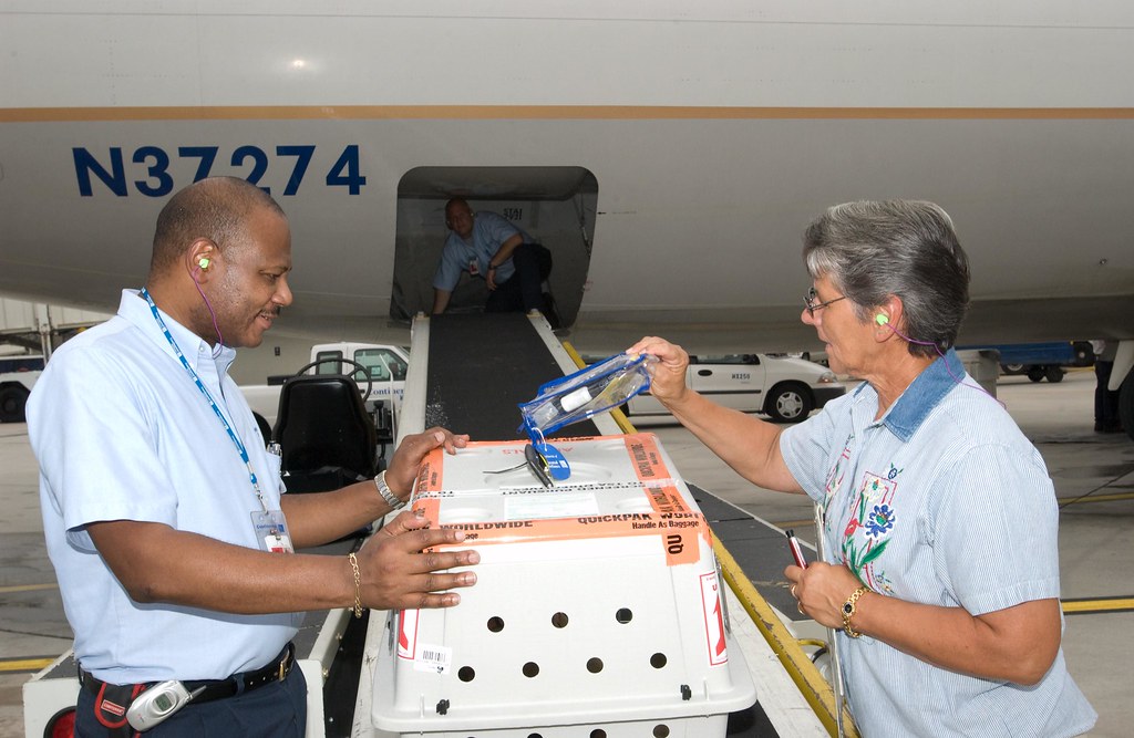 International Travel Complications (Image Credits: Flickr)