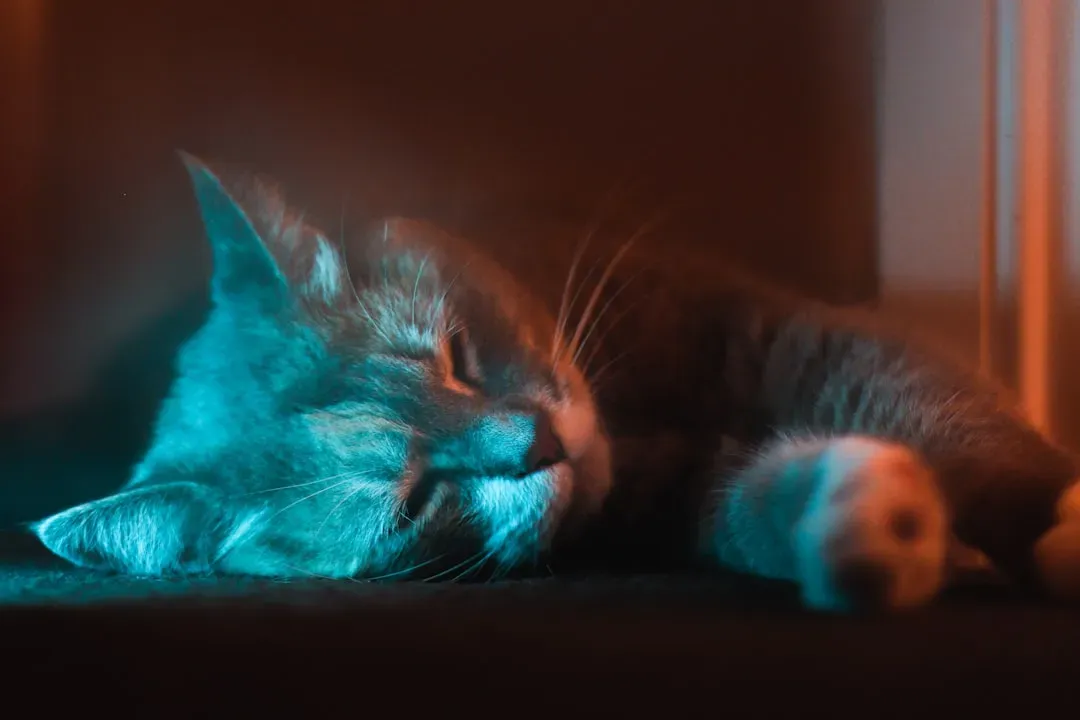 The Ultraviolet Vision That Changes Everything (Image Credits: Unsplash)