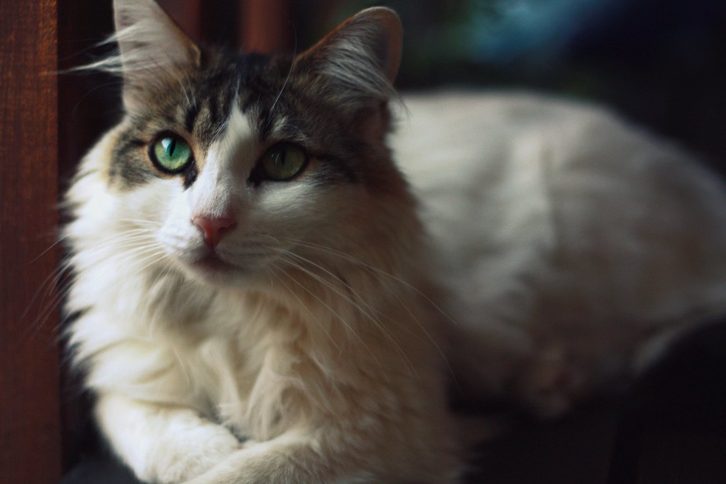 Conclusion (Image Credits: Flickr)