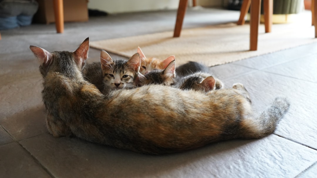 The Nursing Connection That Never Fades (Image Credits: Unsplash)