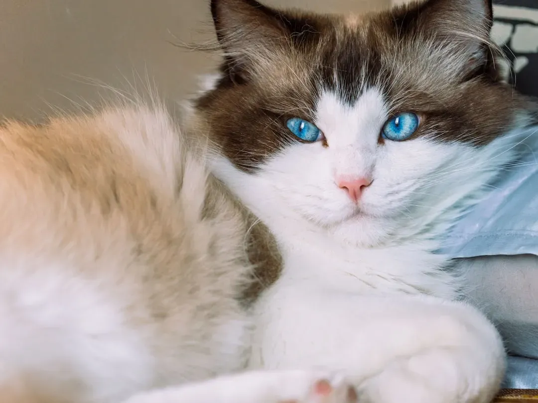 Great with Kids, Other Pets, and Basically Everyone (Image Credits: Unsplash)