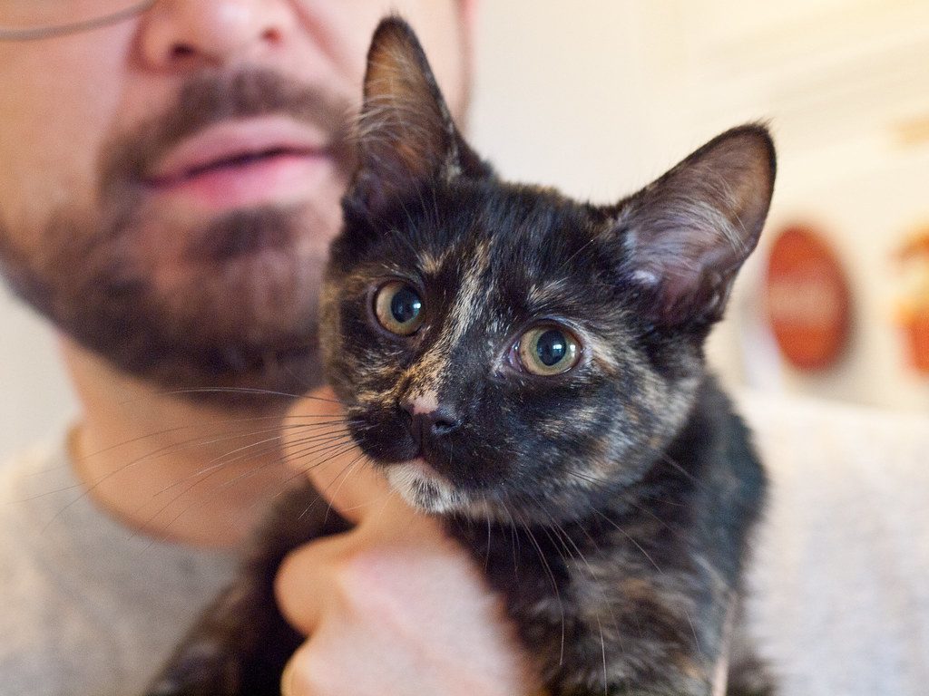 You're Actually Too Interested (And That's Threatening) (Image Credits: Flickr)