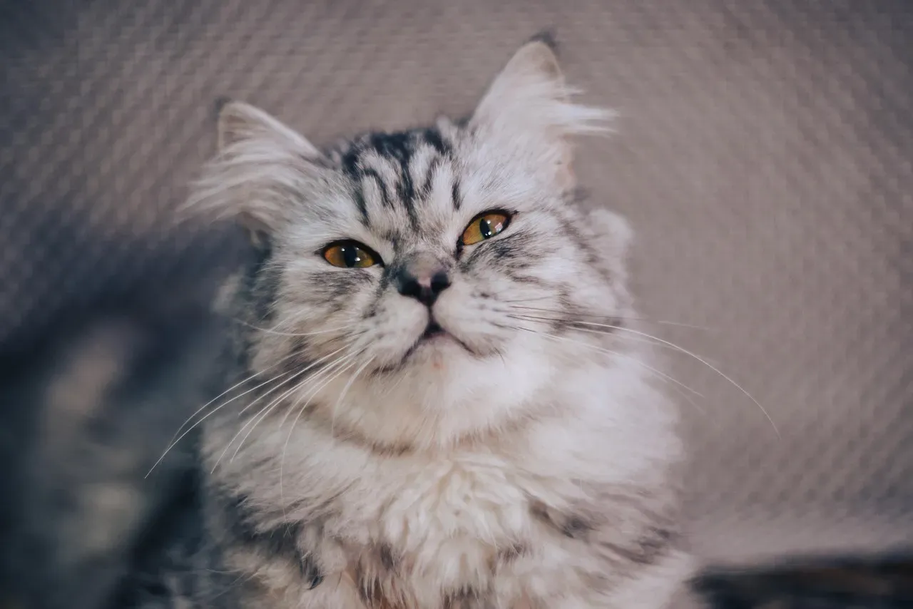 Conclusion (Image Credits: Pixabay)