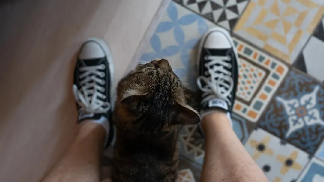 #3 - Familiar Scent: Your Feet Smell Like "Home" (Image Credits: Unsplash)