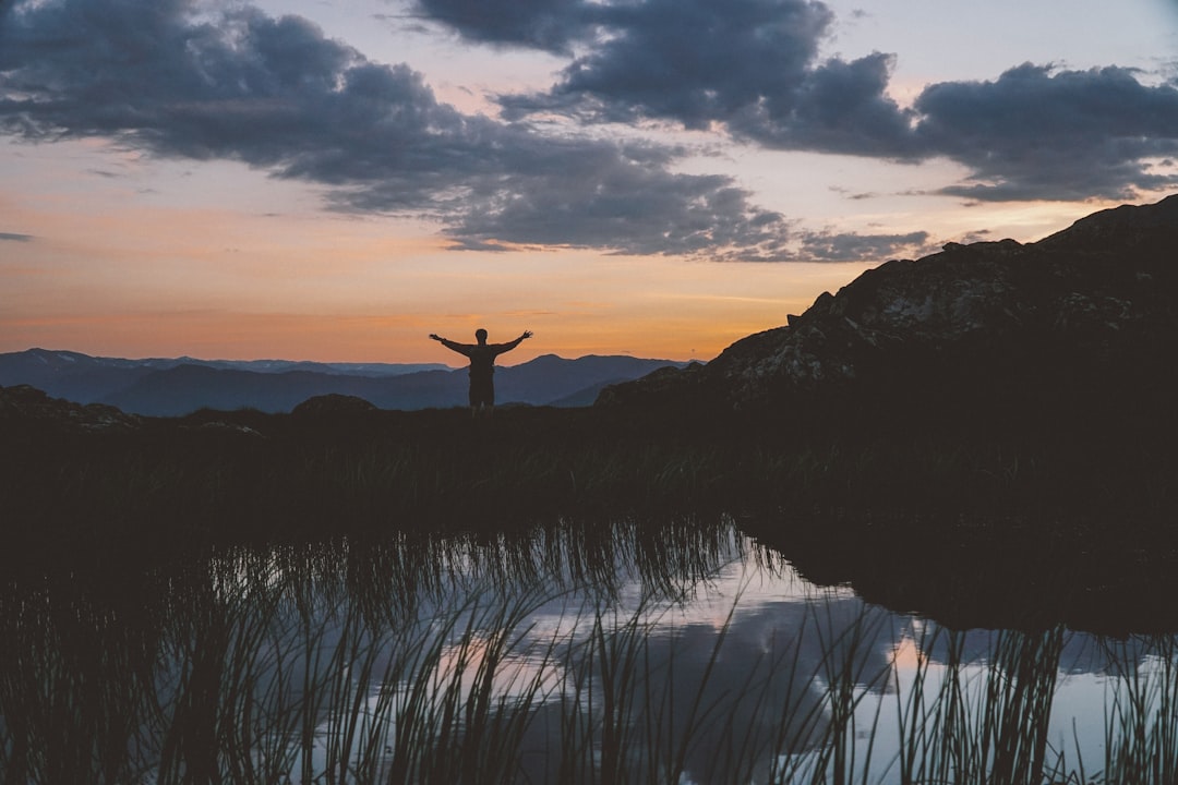 Finding Meaning in Mayhem (Image Credits: Unsplash)