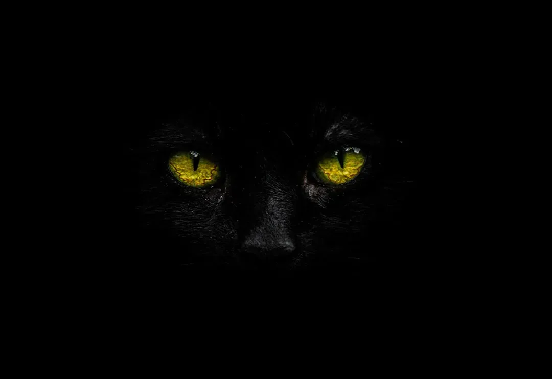 #8 Scorpio: The Bombay (Image Credits: Unsplash)
