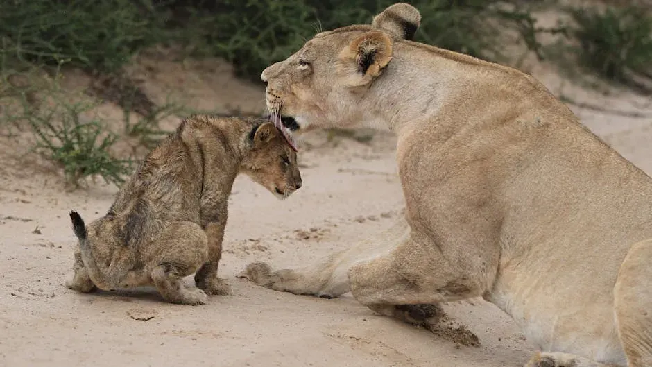 10. Intensive Maternal Care and Long-Duration Cub Training (Image Credits: Pexels)