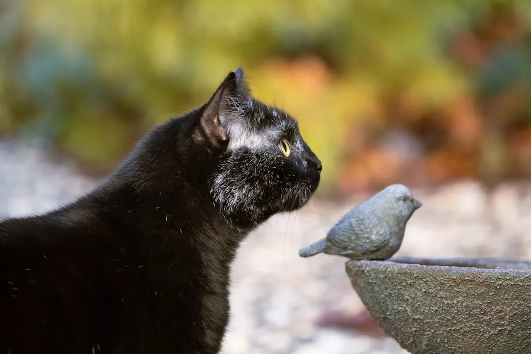 5. Chattering and Chirping at Birds (Image Credits: Unsplash)