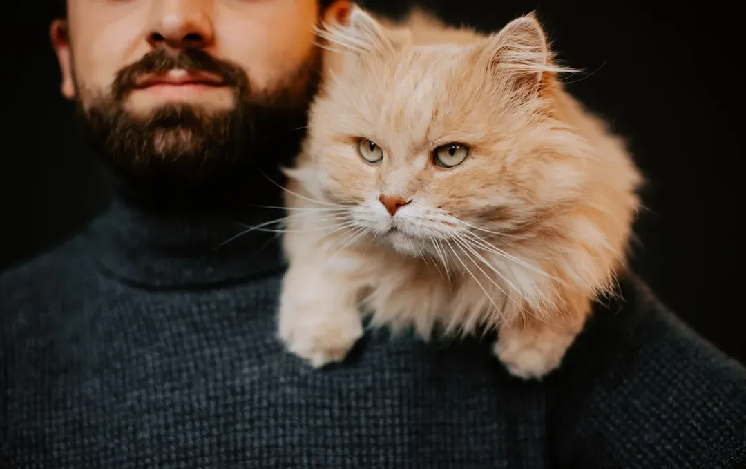Loyal to the Bone: Why Capricorn Cats Bond Differently (Image Credits: Unsplash)