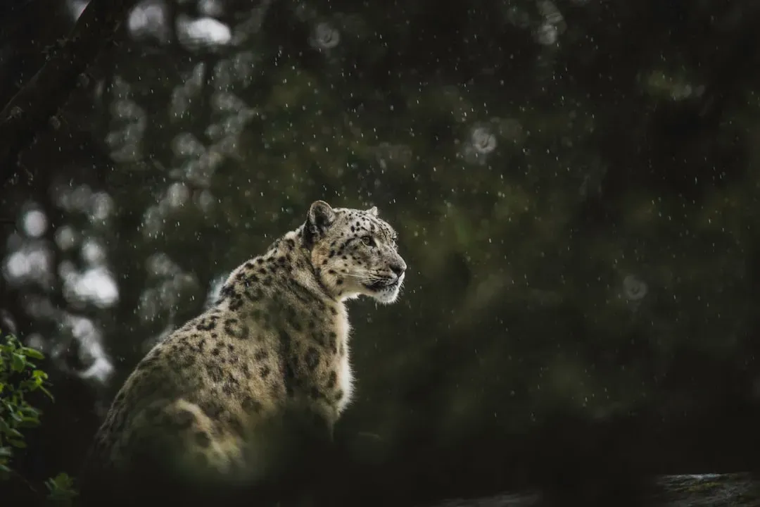 #7 Staying essentially invisible in plain sight (Image Credits: Unsplash)
