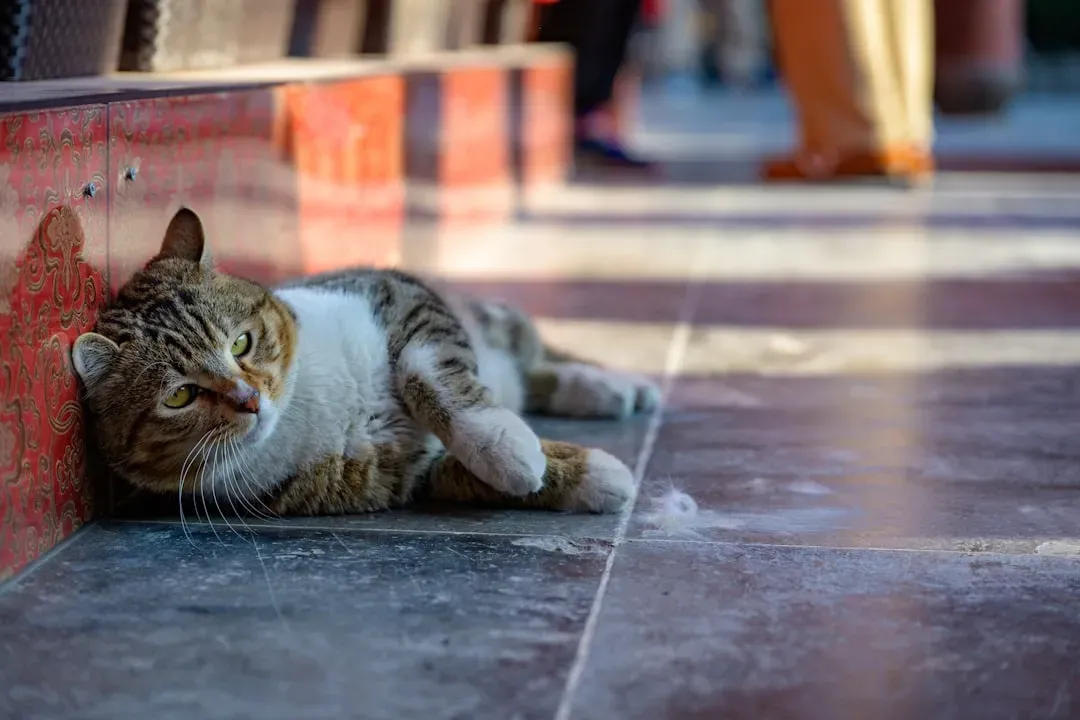 The Relaxed Body Posture That Speaks Volumes (Image Credits: Unsplash)