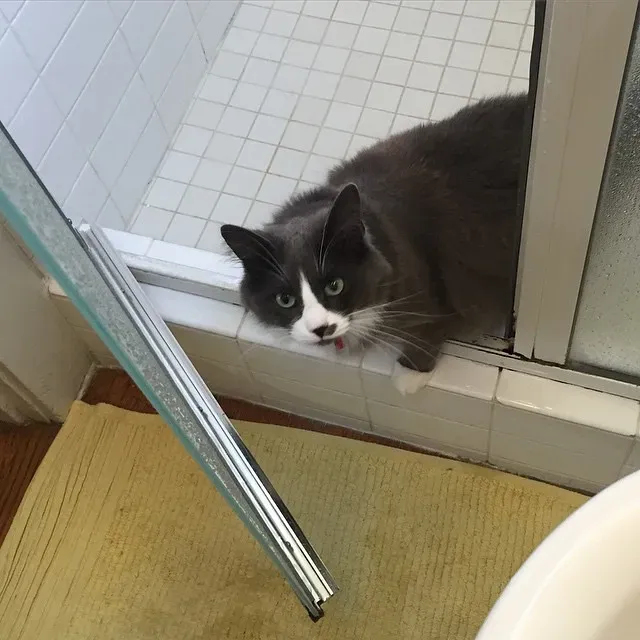 When Shower Stalking Could Signal Something More (Image Credits: Flickr)