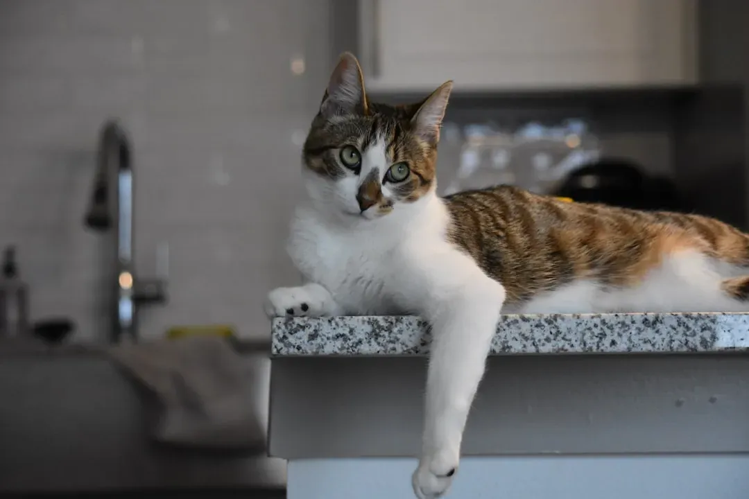 You Keep Changing the Rules About Where They Can Go (Image Credits: Unsplash)