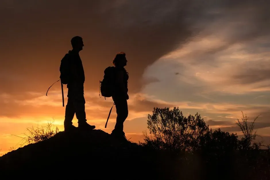 10. You Can Live In Cougar Country And Still Hike, Run, And Camp Safely (Image Credits: Pexels)