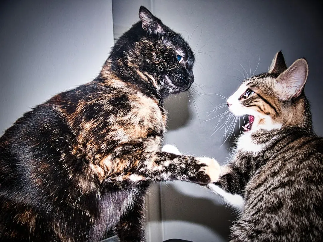 #11 - Fights and First Impressions With Other Animals (Image Credits: Unsplash)