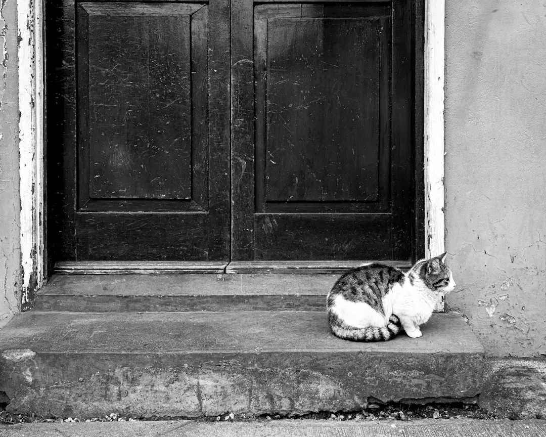 #8 - The Door Is Their Guard Post, Not Just a Welcome Mat (Image Credits: Unsplash)