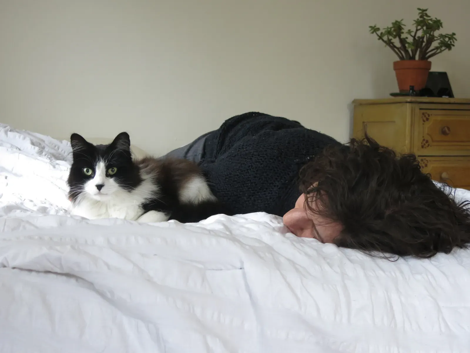 #13 - It's Still One of the Purest Forms of Feline Affection (By Testtotest, CC BY-SA 4.0)