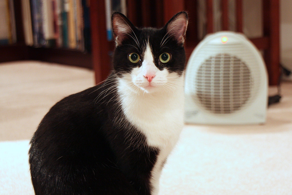 Implement Gradual Environmental Changes (Image Credits: Flickr)