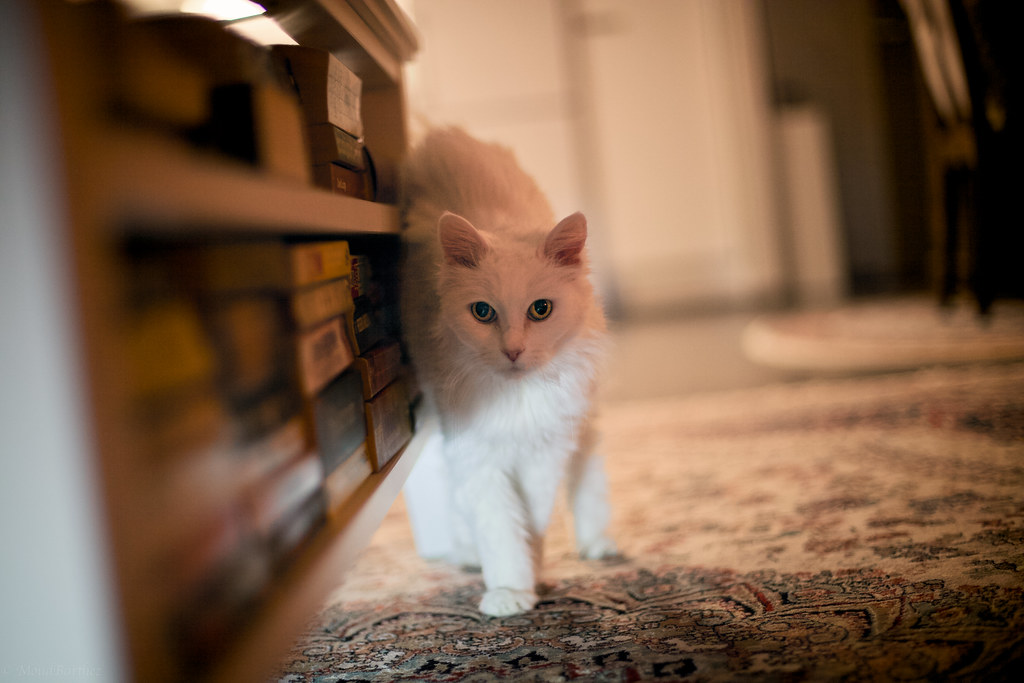 Letting Go Without Attachment (Image Credits: Flickr)