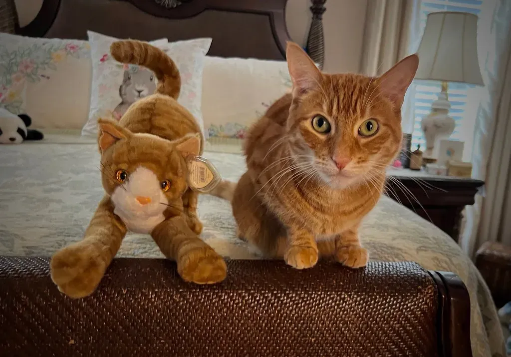 The Art of Simply Being Together (Image Credits: Flickr)