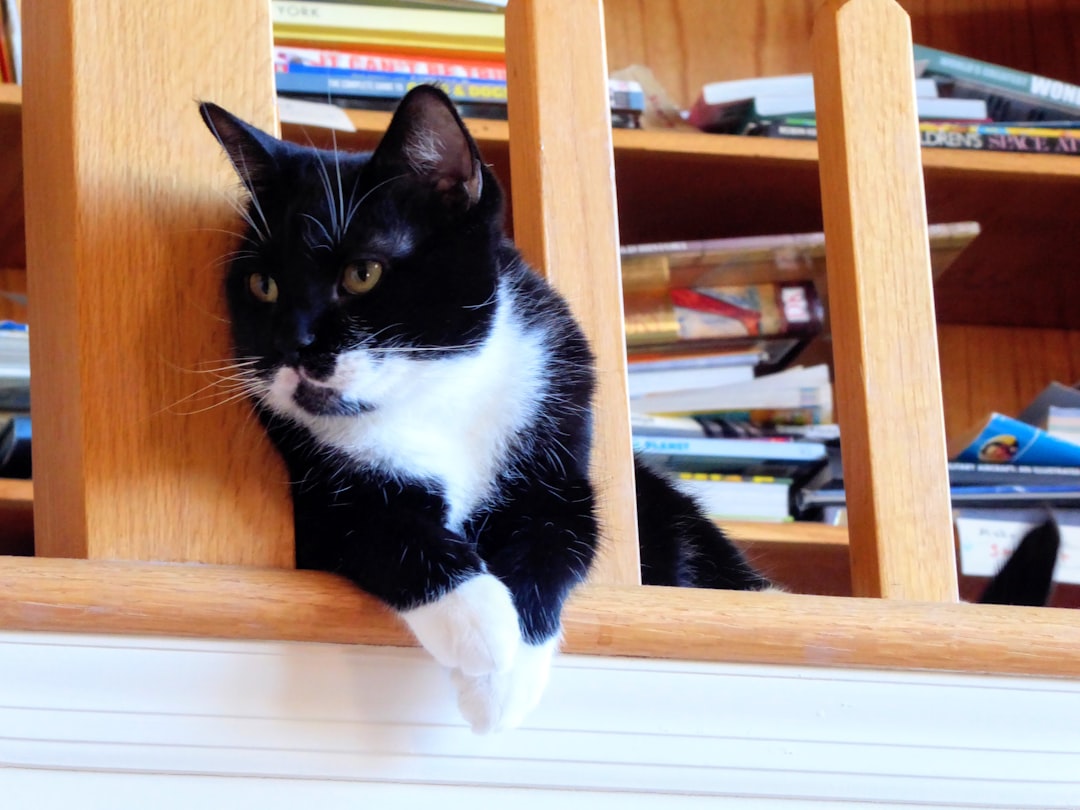 5. The Bedside Disturbance (Image Credits: Unsplash)