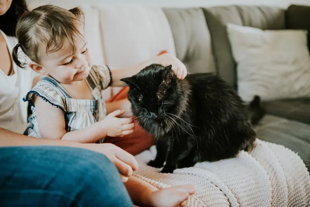 Finding Your Perfect Feline Family Member (Image Credits: Unsplash)