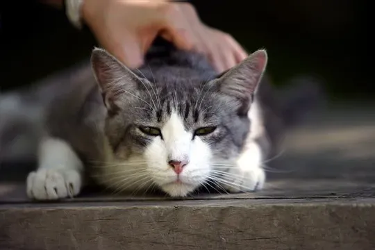 So, How Many Hours Is Actually Too Many? (kumon, Flickr, CC BY 2.0)