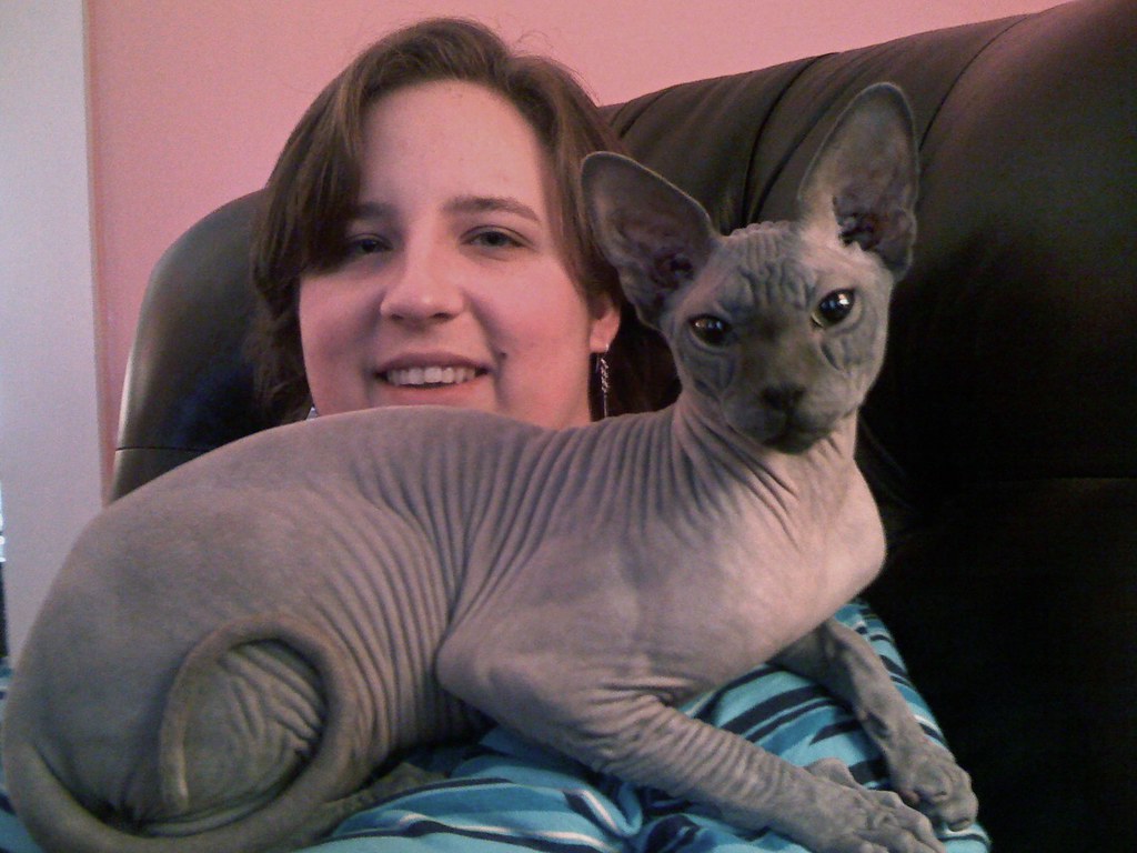Sphynx: The Emotionally Intuitive Companion (Image Credits: Flickr)
