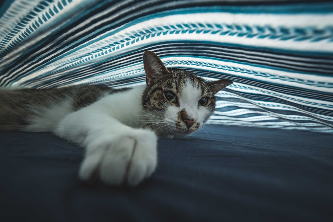They're Patiently Waiting for You to Wake Up (Image Credits: Unsplash)