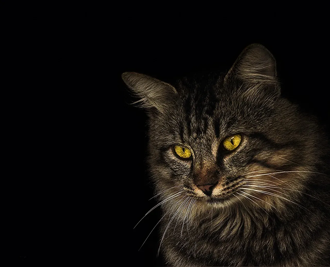 The Social Intelligence Science Almost Missed (Image Credits: Pixabay)